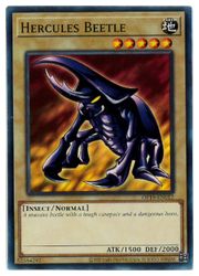 HOBBY SHOPեߥ󤯤㤨ֱѸǡHercules Beetle(N(إ饯쥹ӡȥ(OP19-EN012פβǤʤ20ߤˤʤޤ