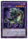 遊戯王 捕食植物アンブロメリドゥス R DIFO-JP037 