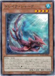 ͷɥ쥤㡼(R)(ROTA-JP002)