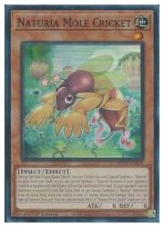 HOBBY SHOPեߥ󤯤㤨ֱѸǡ㡡Naturia Mole Cricket(SR(1st(ʥ롦륯ꥱå(MP23-EN170פβǤʤ10ߤˤʤޤ