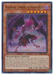 HOBBY SHOPեߥ󤯤㤨ֱѸǡ㡡Blackwing-Simoon the Poison Wind(SR(1st(BF-Υࡼ(RA01-EN012פβǤʤ10ߤˤʤޤ