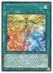 HOBBY SHOPեߥ󤯤㤨ֱѸǡСMikanko Kagura(R(1st((AMDE-EN034פβǤʤ30ߤˤʤޤ