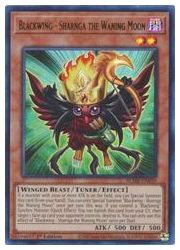 HOBBY SHOPեߥ󤯤㤨ֱѸǡ㡡Blackwing-Sharnga the Waning Moon(U(1st(BF-Υ(BLMR-EN039פβǤʤ10ߤˤʤޤ