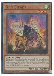 HOBBY SHOPեߥ󤯤㤨ֱѸǡ㡡Oily Cicada(U(1st(꡼ߡ(BLCR-EN027פβǤʤ10ߤˤʤޤ