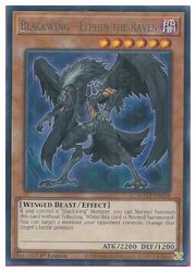 HOBBY SHOPեߥ󤯤㤨ֱѸǡ㡡Blackwing-Elphin the Raven(R(1st(BF-Υե(MAZE-EN038פβǤʤ10ߤˤʤޤ