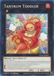 HOBBY SHOPեߥ󤯤㤨ֱѸǡTantrum Toddler(N(1st(ܾ(LEDE-EN046פβǤʤ20ߤˤʤޤ