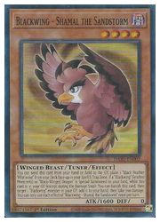 HOBBY SHOPեߥ󤯤㤨ֱѸǡ㡡Blackwing-Shamal the Sandstorm(SR(1st(BF-򺽤Υޡ(DABL-EN002פβǤʤ10ߤˤʤޤ