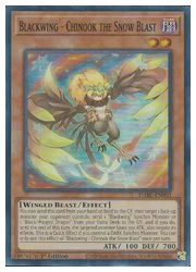 HOBBY SHOPեߥ󤯤㤨ֱѸǡ㡡Blackwing-Chinook the Snow Blast(SR(1st(BF-Υ̡(DABL-EN003פβǤʤ10ߤˤʤޤ