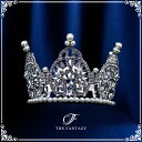 ティアラ 結婚式 ウエディング 披露宴 ブライダル tiara 花嫁 髪飾り 在庫一掃セールかわいい タトゥーシール 贈呈中 ft8126plsr