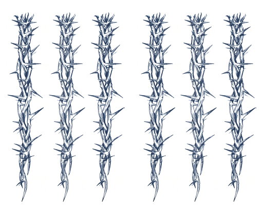 ジャグアタトゥー タトゥーシール 2週間で消えるタトゥー ヘナタトゥー 本物志向 イバラ 鋳薔薇 トライバル 2枚セット ジャグアタトゥー タトゥーシール 2週間で消えるタトゥー ヘナタトゥー 本物志向 イバラ 鋳薔薇 トライバル 2枚セット