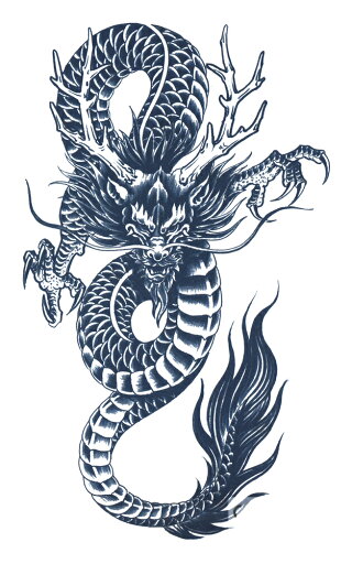 ジャグアタトゥー タトゥーシール 2週間で消えるタトゥー ヘナタトゥー 本物志向 龍 ドラゴン ジャグアタトゥー タトゥーシール 2週間で消えるタトゥー ヘナタトゥー 本物志向 龍 ドラゴン