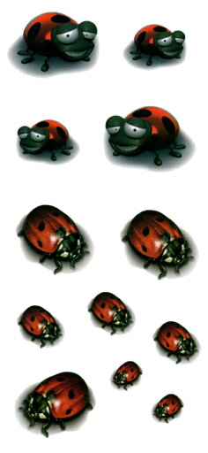 タトゥーシール タトゥーシール 3D 立体感 テントウムシ 3d18 【レギュラー】 タトゥーシール タトゥーシール 3D 立体感 テントウムシ 3d18 【レギュラー】