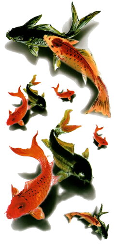 タトゥーシール タトゥーシール 3D 立体感 錦鯉 3d29 【レギュラー】 タトゥーシール タトゥーシール 3D 立体感 錦鯉 3d29 【レギュラー】