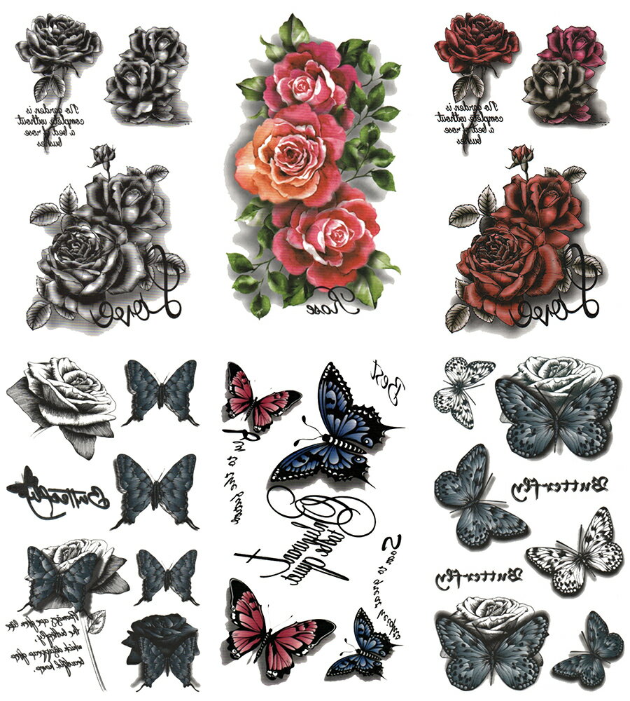 ȥ ĳ   ̾掠66+2 hm6019