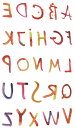 タトゥーシール タトゥーシール 英文字 hm889 【レギュラー】