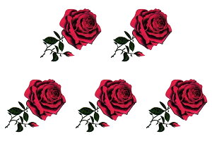 タトゥーシール [5枚入り] 薔薇 バラ tm070126 【ワンポイント】