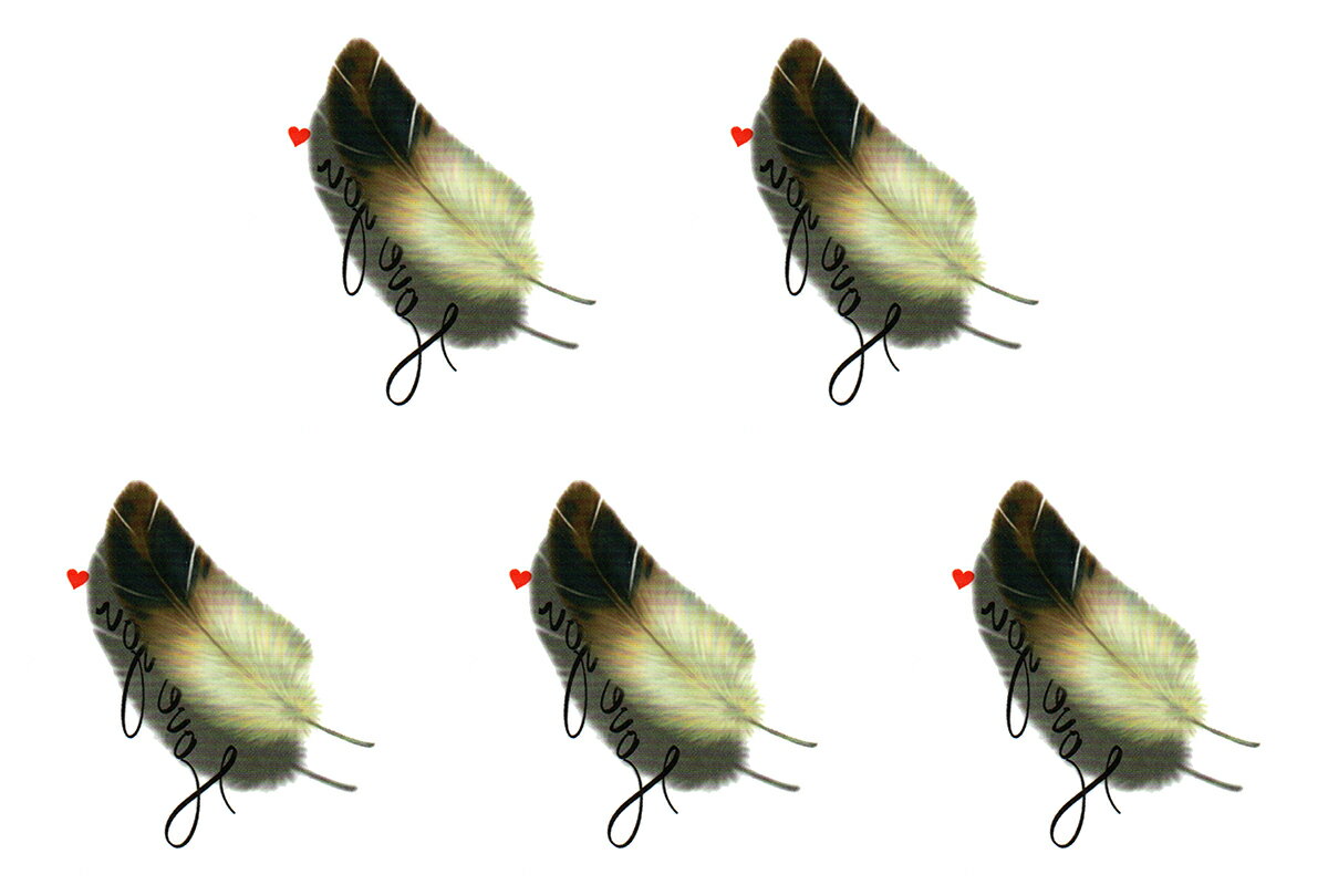 タトゥーシール [5枚入り] 羽毛 tm1219 【ワンポイント】