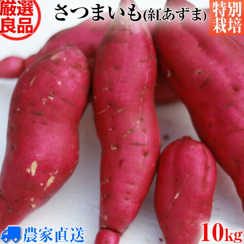 【送料無料】【特別栽培】 さつまいも 紅あずま 10kg 良品 べにあずま サツマイモ 焼き芋などに 選べる土付き【減農薬・無化学肥料栽培】