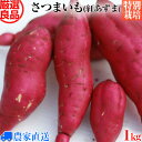 【特別栽培】 さつまいも 紅あずま 1kg べにあずま サツマイモ 焼き芋などに 選べる土付き 【減農薬・無化学肥料栽培】