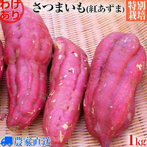 【特別栽培】【訳あり】さつまいも 紅あずま B級品 1kg べにあずま サツマイモ 焼き芋などに 選べる土付き 【無農薬・無化学肥料栽培】【家庭用】【業務用】