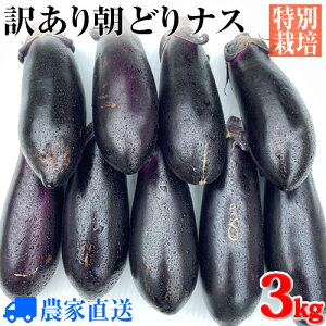 【送料無料】★昼めし旅で紹介！訳あり特別栽培ナス ”朝どり特産なす”3kg 農家直送【夏秋茄子】【減農薬】【業務用】【漬物用】