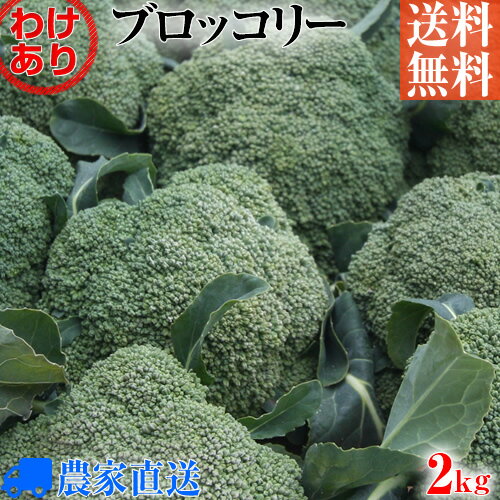 【特別栽培】訳あり B級品 ブロッコリー 量り売り2kg【農家直送】【8割減農薬栽培】【送料無料】