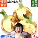 楽天たばたファーム新鮮野菜ネット直売★ごはんジャパンで紹介！【送料無料】全国最速出荷！特別栽培 新玉ねぎ 3kg 選べるサイズ 農家直送 良品厳選 減農薬 [ 新玉葱 新タマネギ 新玉ネギ 新たまねぎ 玉ねぎ たまねぎ ]