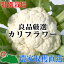 【特別栽培】良品厳選! カリフラワー 1玉(Мサイズ以上)【減農薬・減化学肥料栽培】