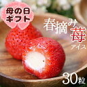 母の日 スイーツ まだ間に合う ギフト アイス 送料無料 プレゼント 楽天 いちご 2025 プチギフト 誕生日 内祝い あす楽 お菓子 個包装 御祝い 詰め合わせ メッセージ対応 苺 のし対応 苺アイス 春摘み苺アイス 30粒 いちごアイス 法人注文 まとめ買い 大量注文 夏ギフト