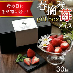 https://thumbnail.image.rakuten.co.jp/@0_mall/auc-fb-create/cabinet/event/mothersday/mdm/mother_fb1-h30_i.jpg