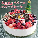 ケーキ クリスマスケーキ 予約 送料無料 子供 誕生日プレゼント お歳暮 クリス