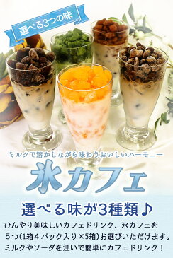 送料無料 プレゼント ギフト スイーツ アイスクリーム 氷カフェ 氷コーヒー アイス 5つの味で選べる5箱20袋 国産 業務用 家庭用