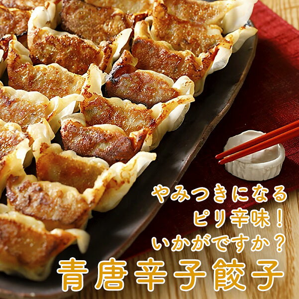 餃子 ぎょうざ お取り寄せ 【 新商品 】九州産青唐辛子餃子 300g（25個） 八洋フーズ おかず お弁当 冷凍食品 冷凍餃子 ギョウザ 辛いもの好き 惣菜 中華惣菜 点心 中華 中華点心 八洋食品 auc-fb-create-10002500 F・Bクリエイト サンプル画像3