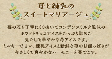 母の日 早割 プレゼント ギフト スイーツ カーネーション 付 2021 おしゃれ 送料無料 ギフト プレゼント スイーツ ラッピング 誕生日 バースデー アイスクリーム 苺 春摘み苺アイス(30粒） アイス イチゴアイス 内祝い 食べ物