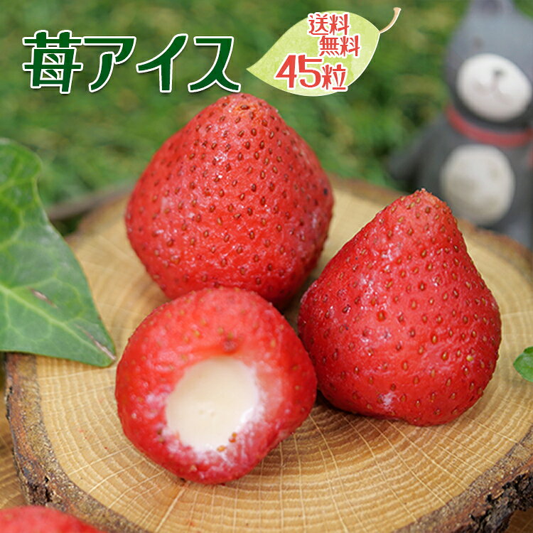 アイス 送料無料 お菓子 職場 スイーツ 予約 2026 苺 誕生日 プレゼント いちごアイス 楽天 苺アイス お祝い プチギフト 練乳 誕生日 苺 出産内祝 個包装 高級 バースデー れんにゅう入り