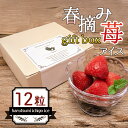 ギフト送料無料 お歳暮 スイーツ 誕生日 クリスマスギフト 3000 円 アイス いちごアイス送料無料 フルーツ 2025 楽天 デザート プチギフト あす楽 ...