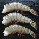 ブラックタイガー エビ 殻付海老無頭 10cm 約21〜25尾 450g えび 海老 冷凍食品 冷凍食品 居酒屋 レストラン 食堂 お弁当屋さん カラオケ店 学園祭 移動販売 模擬店 ゴルフ場 お弁当のおかず 夕食 ランチ 昼食 パーティー 食堂(4)