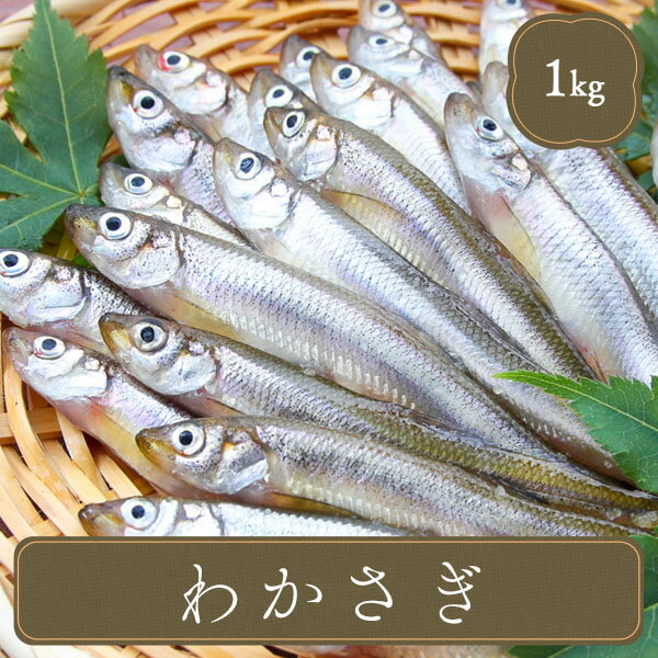 わかさぎ 1kg 魚 海鮮 食材 冷凍食品 
