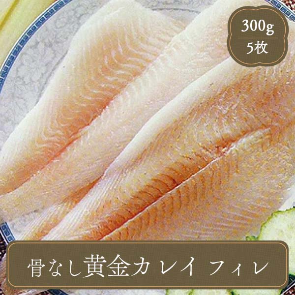 【カレイ かれい 切身 70g 10切入】ファストフィッシュ 鰈 カラスガレイ 焼き魚 焼魚 煮魚 冷凍 真空パック お歳暮