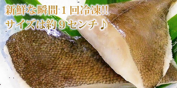 ���࿩�� ������ �� ���ʤ� ���쥤 �ڤ�� ��60g���ʤ���/���줤�����ڤ�ȡ�5�ڤ�۳��� ���� ��� �쥹�ȥ�� ��Ʋ ������������ ���饪��Ź �ر�� ��ư���� �ϵ�Ź ����վ� ͼ�� ���� �뿩 �ѡ��ƥ��� ��Ʋ �С��٥��塼 bbq ������