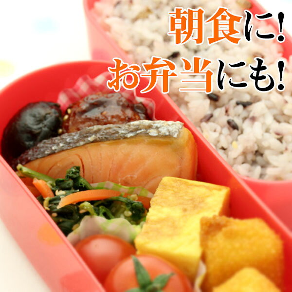冷凍食品 おかず 魚 骨なし 鮭 塩焼き JFDA グリル厨房 骨取りサケ塩焼 150g 焼魚 ...