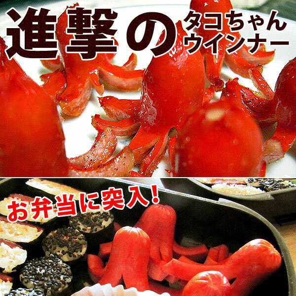 ������ʡ� ��������� �֥�����ʡ� ��500g�ۥޥ�ϥ˥��� ���࿩�� ������ ���� ���� ���� ������ �ں� ��̳�� ������ ���ӤΤ��� ����ʪ