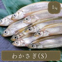 冷凍ワカサギ 1kg Sサイズ 約8~10cm 冷凍 ワカサギ わかさぎ 食べ物 天ぷら フライ 南蛮漬け