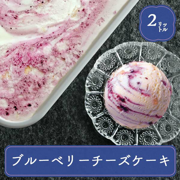 楽天F・Bクリエイトロッテ アイス 業務用 スイーツ アイス 業務用アイス ブルーベリーチーズケーキ 2L スイーツ おやつ デザート イベント チーズケーキ パーティー バザー 屋台 大量注文 バルクアイス 子供 孫の日 運動会 学園祭 ブライダル ハロウィン ブルーベリー