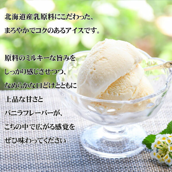 アイスクリーム 業務用 業務用アイス アイス ...の紹介画像3