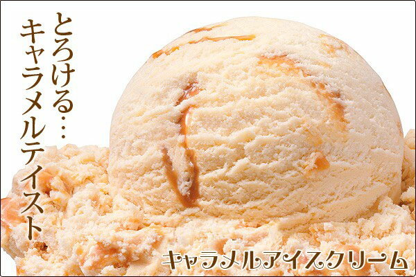 アイスクリーム 2L EX キャラメル 森永 業務用 2000ml