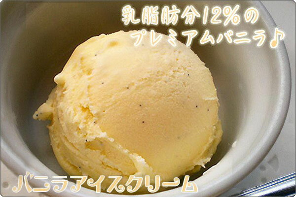 森永 アイスクリーム バニラ 業務用アイス 4L