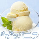 アイスクリーム 業務用 明治 まろやかバニラアイス 2L 業務用 家庭用 国産 明治 食べ物 バルクアイス