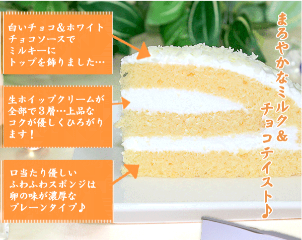 子供の日 ケーキ スイーツ 誕生日ケーキ 居酒...の紹介画像3