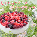 誕生日ケーキ 大人 送料無料 ケーキ スイーツ フルーツ ギフト 冷凍 子供 お取り寄せ プレゼント いちご 予約 内祝い ホテル 旅館 記念日 お祝い 法人注文 まとめ買い 大量注文 出産内祝い 5号 ミックスベリー ホールケーキ 夏ギフト